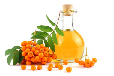 Rowan cam sürahi beyaz arka plan üzerinde izole yeşil yaprak ve rowan yağda ile