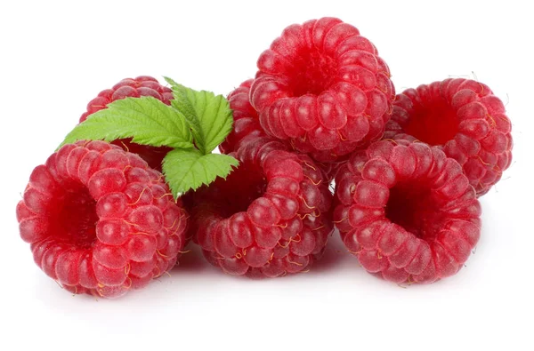 Ripe Raspberries Green Leaf Isolated White Background Macro — Stock Photo, Image