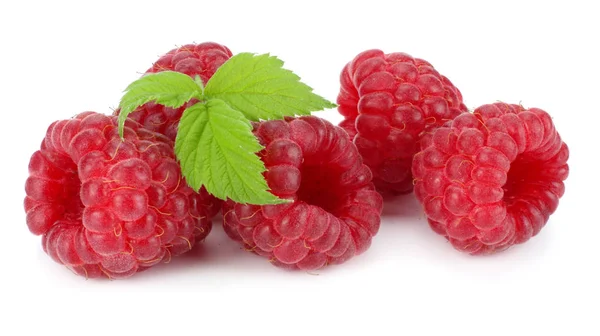 Ripe Raspberries Green Leaf Isolated White Background Macro — Stock Photo, Image