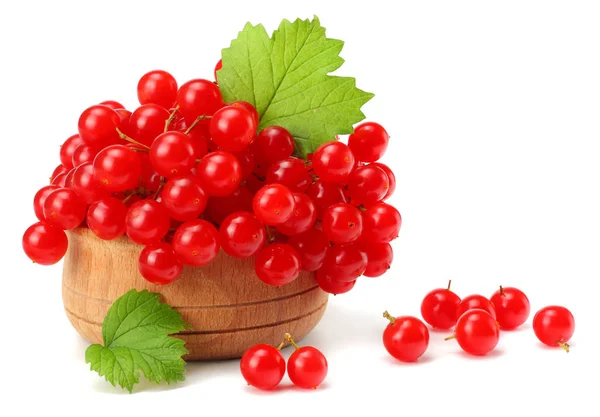 Rote Beeren Aus Viburnum Pfeilholz Holzschale Mit Grünem Blatt Isoliert — Stockfoto