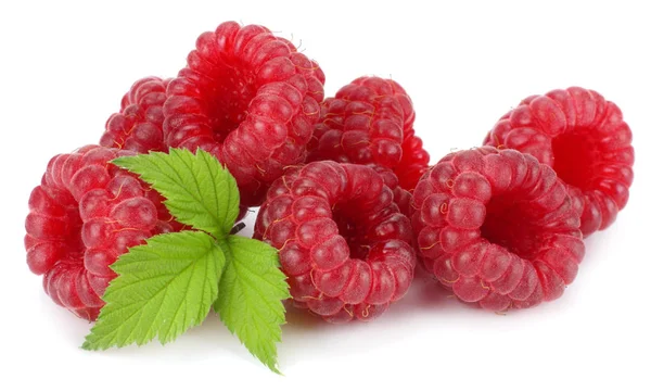 Ripe Raspberries Green Leaf Isolated White Background Macro Royalty Free Stock Images