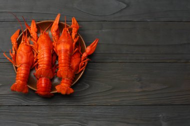 kopya alanı koyu ahşap zemin üzerine kerevit. Bira bira kavramı. Bira arka plan