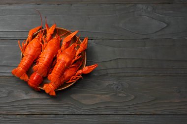 kopya alanı koyu ahşap zemin üzerine kerevit. Bira bira kavramı. Bira arka plan