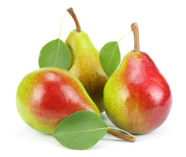 Armut yaprak beyaz zemin üzerine izole