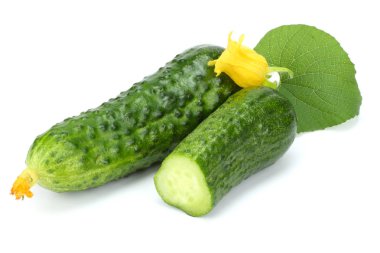salatalık dilimlenmiş salatalık ve beyaz arka plan üzerinde izole yaprak ile