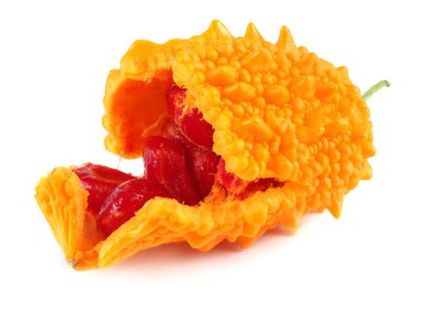 Beyaz arka plan üzerinde izole Momordica charantia