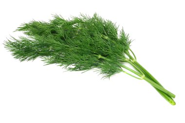 Taze yeşil dereotu beyaz arkaplanda izole edilmiş.