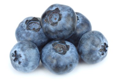 Beyaz arka plan üzerinde izole yaban mersini. makro