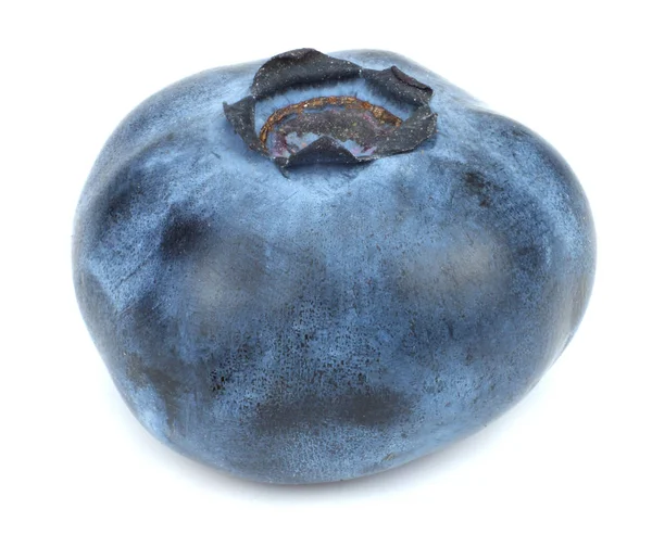 One Blueberry Isolated White Background Macro — Stock Photo, Image