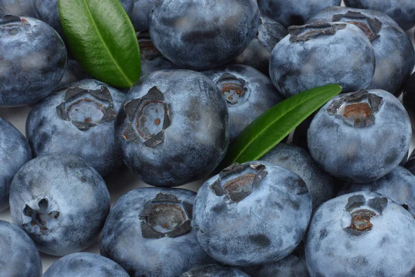 Frische Blaubeeren Textur Oder Hintergrund Ansicht Von Oben — Stockfoto