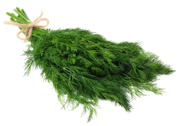 Taze yeşil dereotu beyaz arkaplanda izole edilmiş.