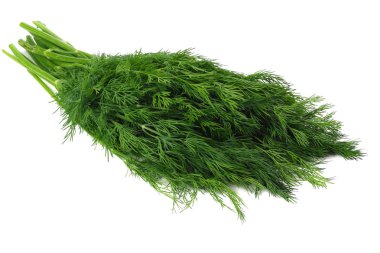 Taze yeşil dereotu beyaz arkaplanda izole edilmiş.