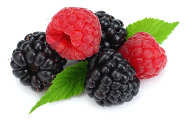 Blackberries Raspberries Green Leaf Isolated White Background Macro — Stock Photo, Image