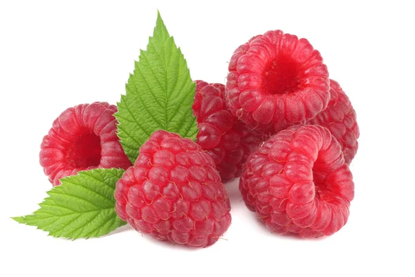 Olgun ahududu ve yeşil yapraklı beyaz arka plan makrosu.