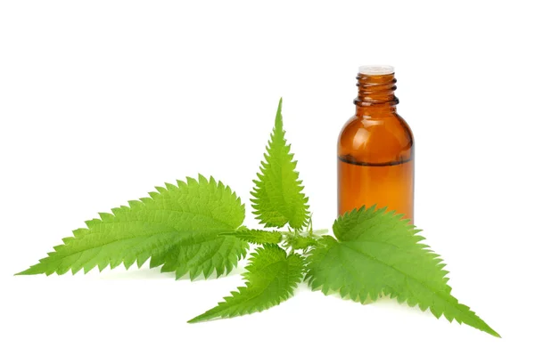 Nettle Essential Oil Isolated White Background Medical Herbs — Stock Photo, Image