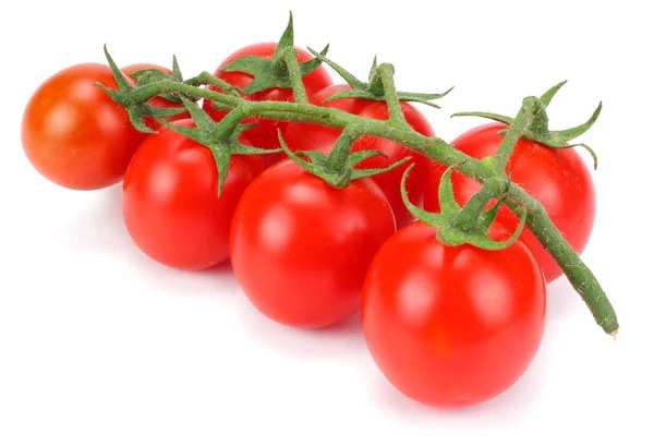 Tomates Cereza Aislados Sobre Fondo Blanco — Foto de Stock