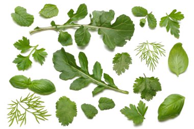 Yeşil taze rucola izole üzerinde beyaz arka plan bırakır. Roket salata veya roka.