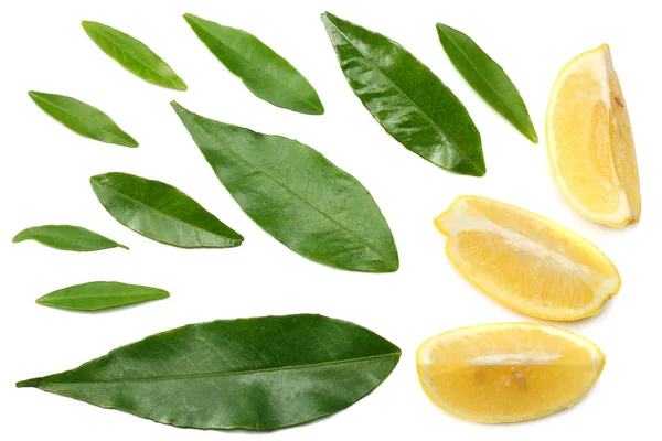 Comida Saludable Limón Rodajas Con Hoja Verde Aislada Sobre Fondo —  Fotos de Stock