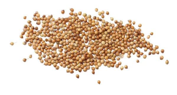 Coriander Seeds Isolated White Background — Stock Photo, Image