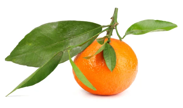 Mandarin Med Grönt Blad Isolerad Vit Bakgrund — Stockfoto