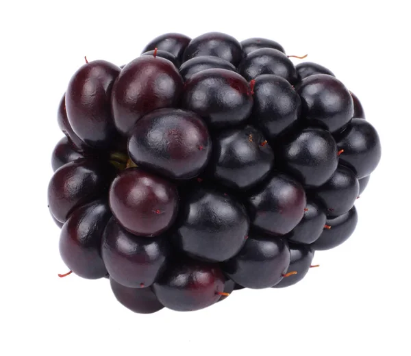 Blackberries Isolated White Background Macro — Stock Photo, Image