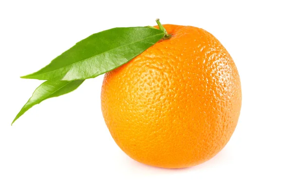 음식입니다 배경에 오렌지 — 스톡 사진