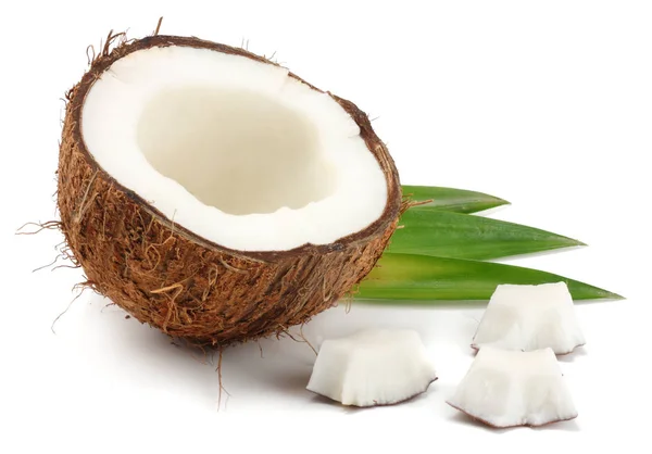 Kokos Zielonych Liści Białym Tle — Zdjęcie stockowe