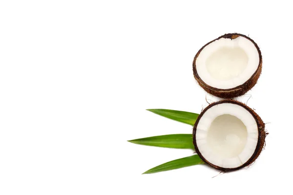 Kokosnuss Mit Grünen Blättern Isoliert Auf Weißem Hintergrund — Stockfoto