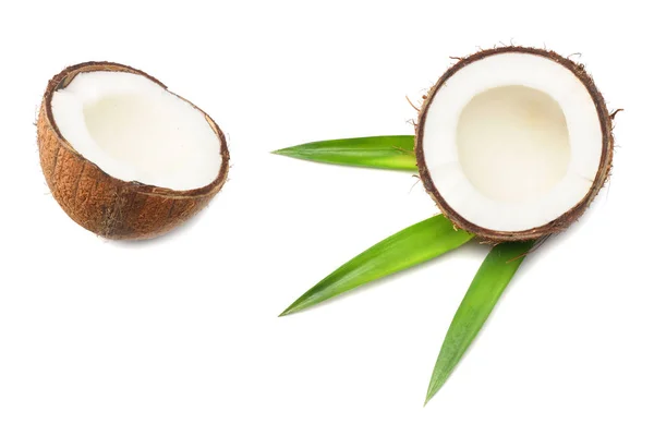 Kokos Met Groene Bladeren Geïsoleerd Witte Achtergrond — Stockfoto