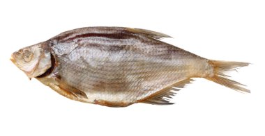 Kurutulmuş balık beyaz arka plan üzerinde izole. Bira bira kavramı. Bira arka plan