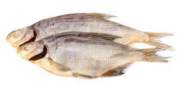 Kurutulmuş balık beyaz arka plan üzerinde izole. Bira bira kavramı. Bira arka plan