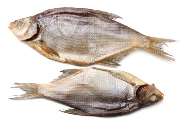 Kurutulmuş balık beyaz arka plan üzerinde izole. Bira bira kavramı. Bira arka plan