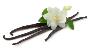 Beyaz çiçekli Beyaz arka plan üzerinde izole vanilya çubukları