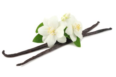 Beyaz çiçekli Beyaz arka plan üzerinde izole vanilya çubukları