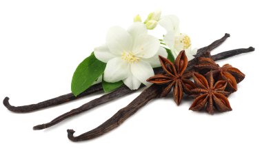 Beyaz çiçekli Beyaz arka plan üzerinde izole vanilya çubukları