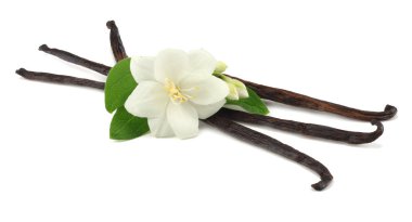 Beyaz çiçekli Beyaz arka plan üzerinde izole vanilya çubukları