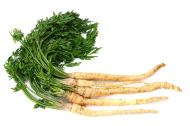 Beyaz arka plan üzerinde izole taze maydanoz kökü