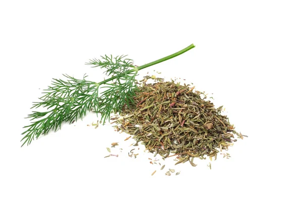 Bund Frischer Grüner Dill Mit Getrocknetem Dill Isoliert Auf Weißem — Stockfoto