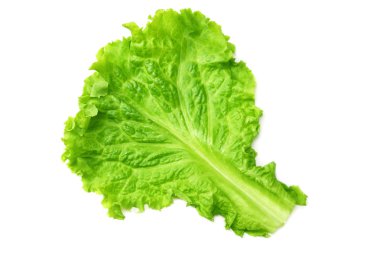 beyaz bir arka plan üzerinde izole bir salata yaprağı