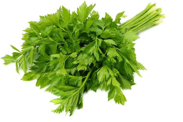 Celery Leaf Isolated White Background Celery Isolated White Healthy Food — Stock Photo, Image