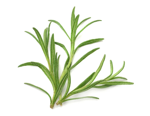 Rosemary Leaves Isolated White Background Top View — Stock Photo, Image