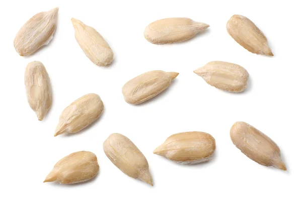 Beyaz arka planda izole edilmiş ayçiçeği tohumları. Üst görünüm