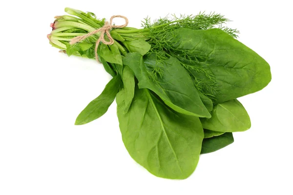 Hojas Espinaca Aisladas Sobre Fondo Blanco Alimento Saludable —  Fotos de Stock