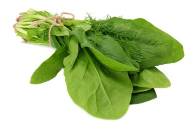 Ispanak yaprakları beyaz arka planda izole edilir. Sağlıklı yemek..
