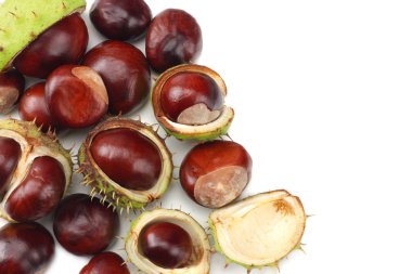 Kestaneler beyaz arka planda izole edilmiş. en üstteki görünüm