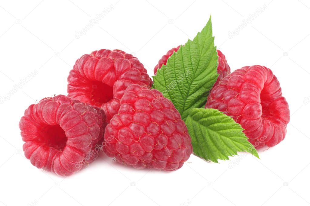 ripe raspberries with green leaf isolated on white background macro 