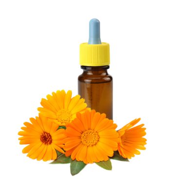 Beyaz arka planda karanfilli çiçekli kadife yağı şişesi. Calendula çiçeği.