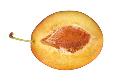 Beyaz arka planda kesilmiş erik dilimleri ile taze erik meyvesi. en üstteki görünüm