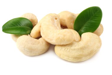 Beyaz arka plan üzerinde izole yeşil yaprakları ile kaşu