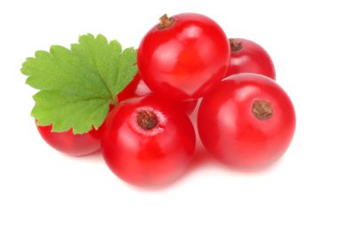 yeşil yaprak beyaz bir arka plan üzerinde izole kırmızı kuş üzümü. makro. sağlıklı gıda